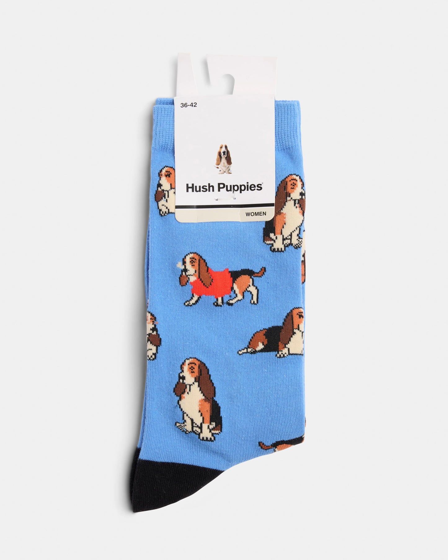 Hp Crew Socks Basset Hound Blue
