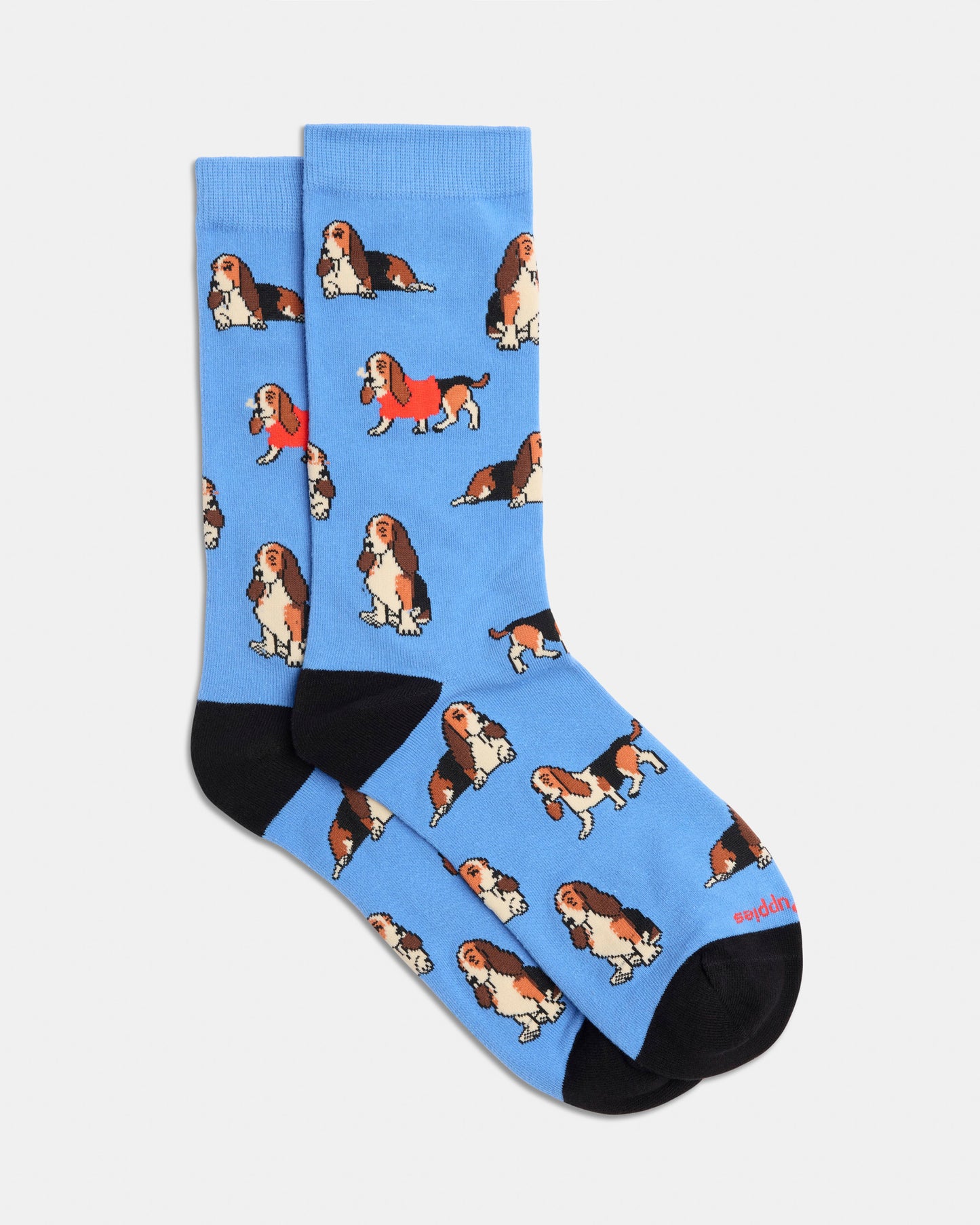 Hp Crew Socks Basset Hound Blue