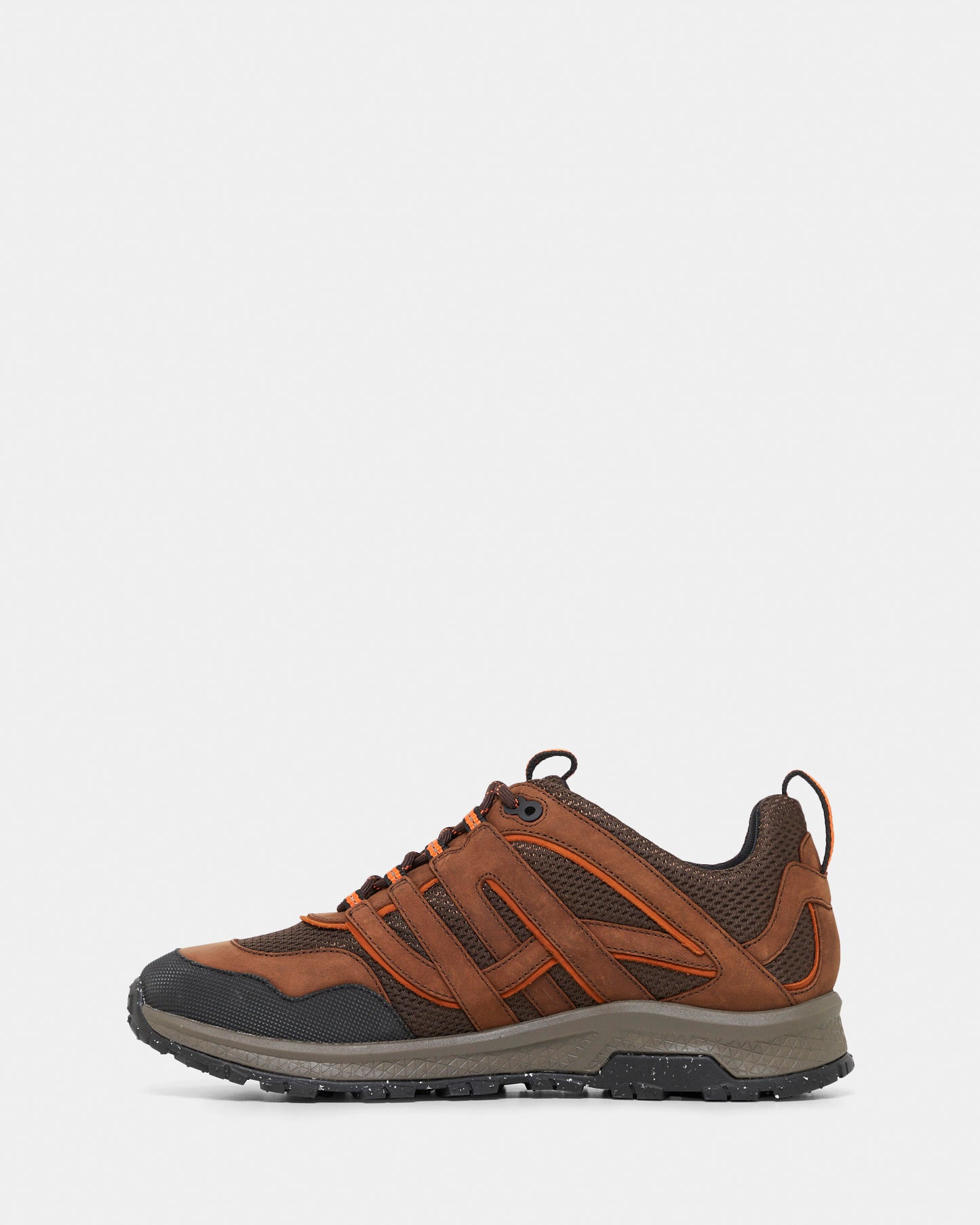 Koodoo M Brown Wild