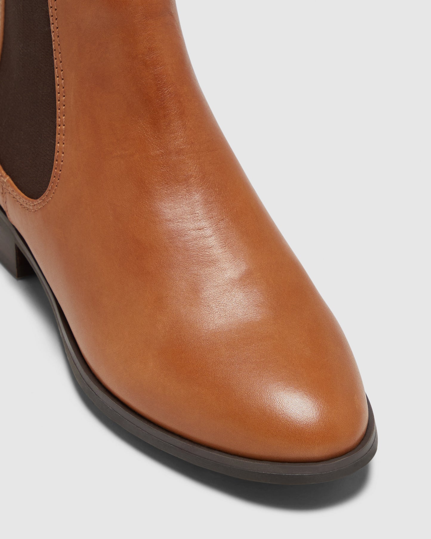 Camden Tan