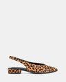 Azula Leopard