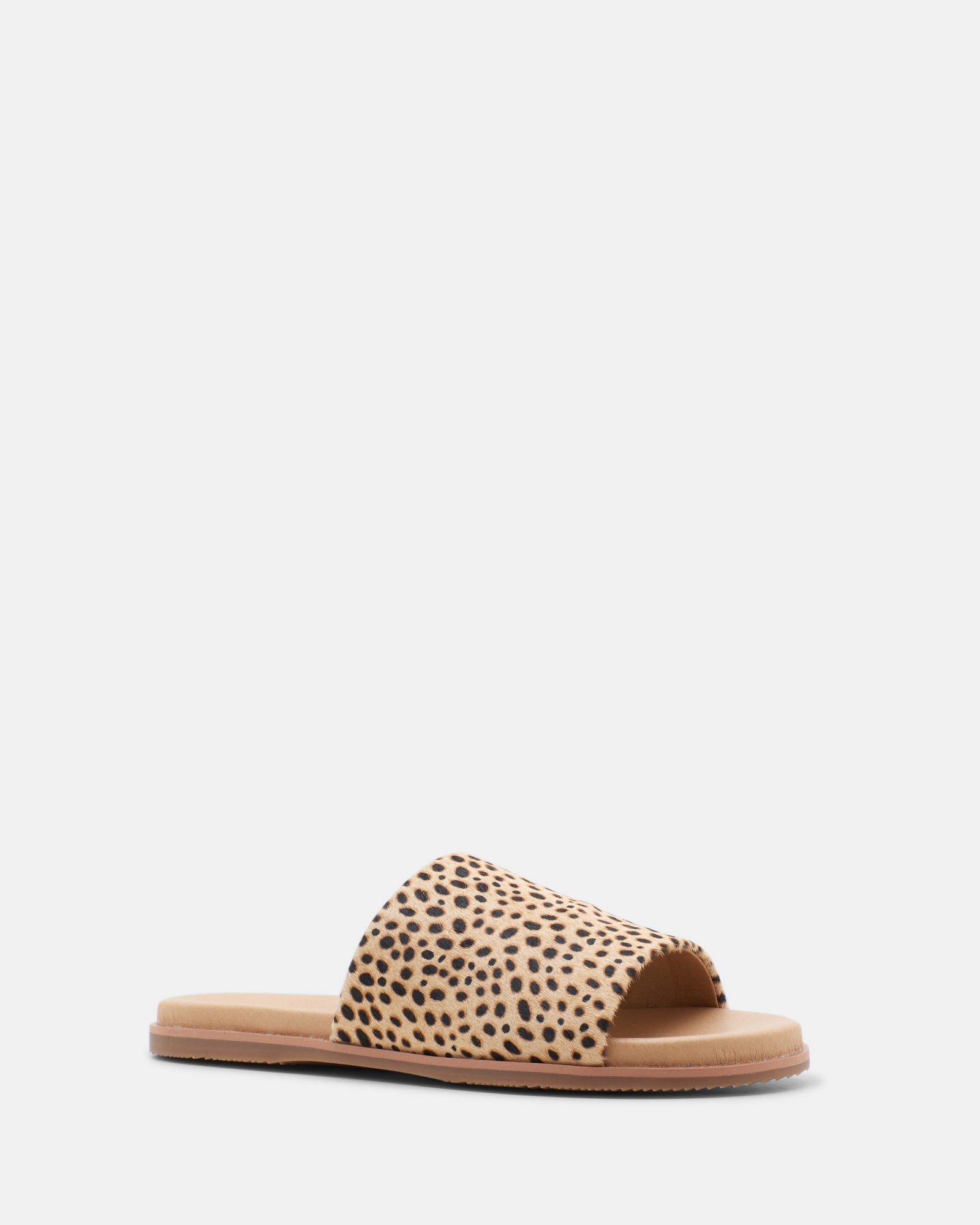 Dolce vita on sale cato sandals leopard