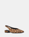 Azula Leopard
