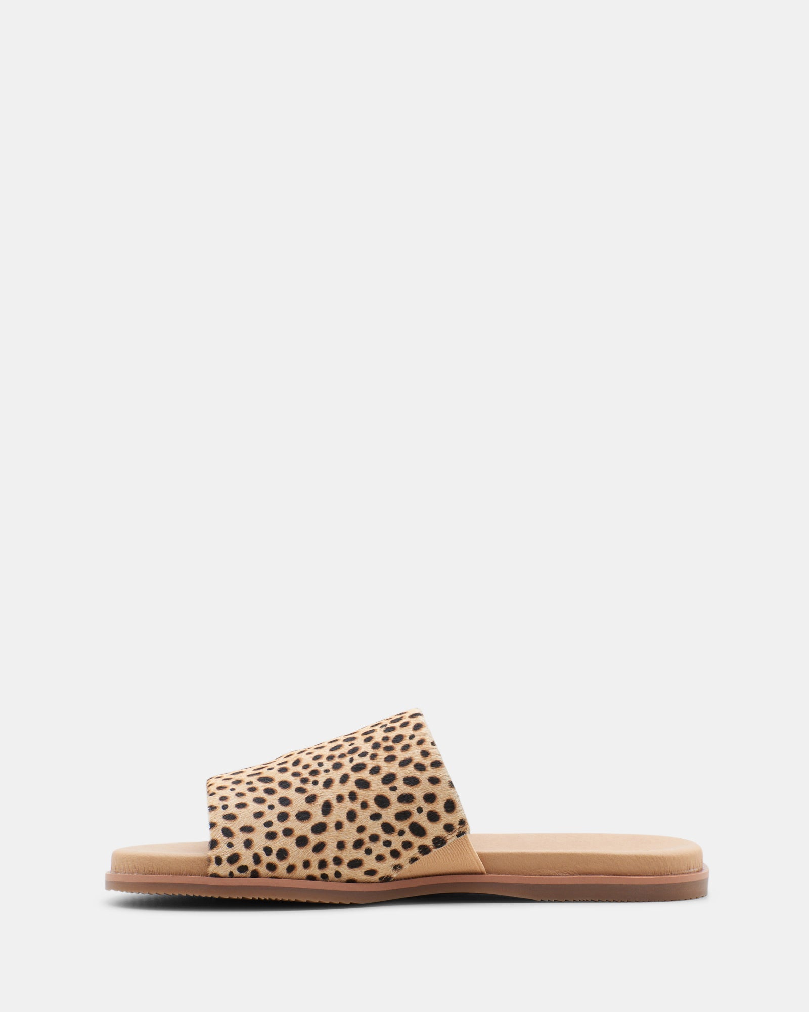 Dolce vita store cato sandals leopard