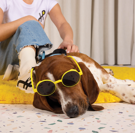 Hush Puppies AU Image