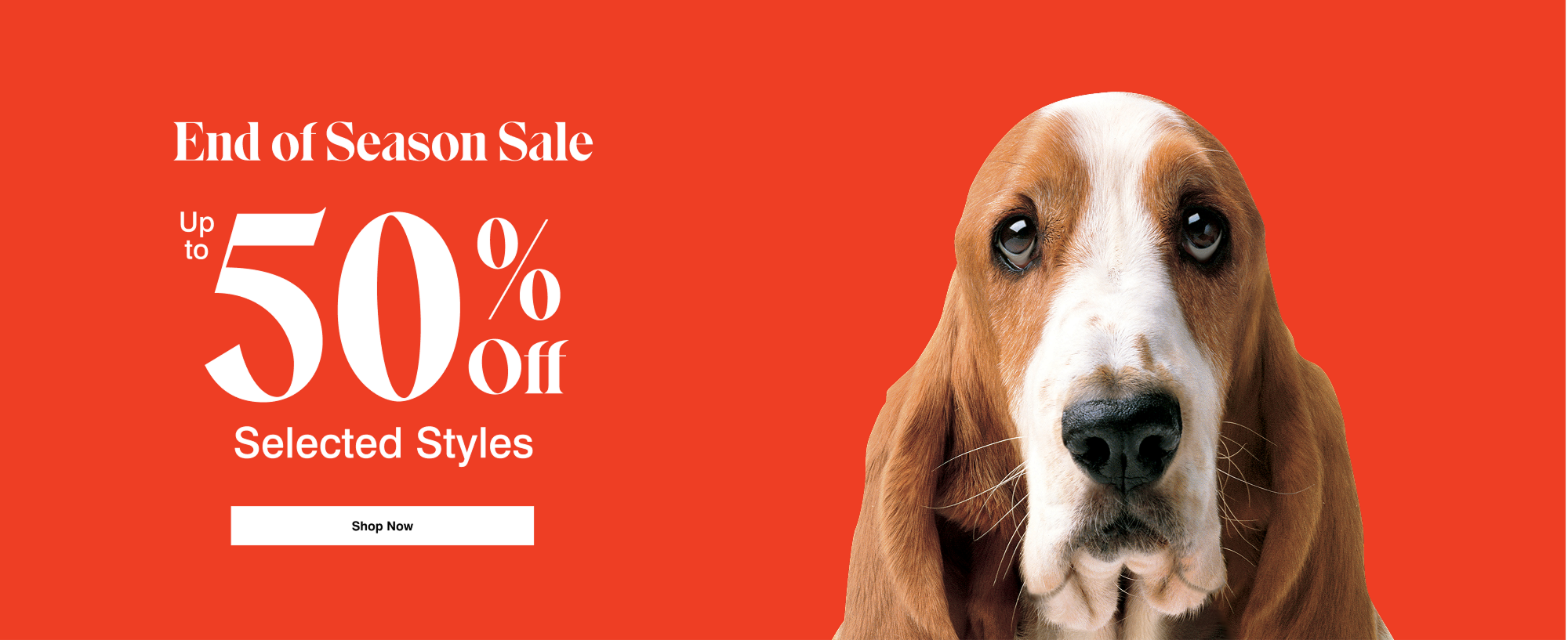 Hush Puppies AU Image
