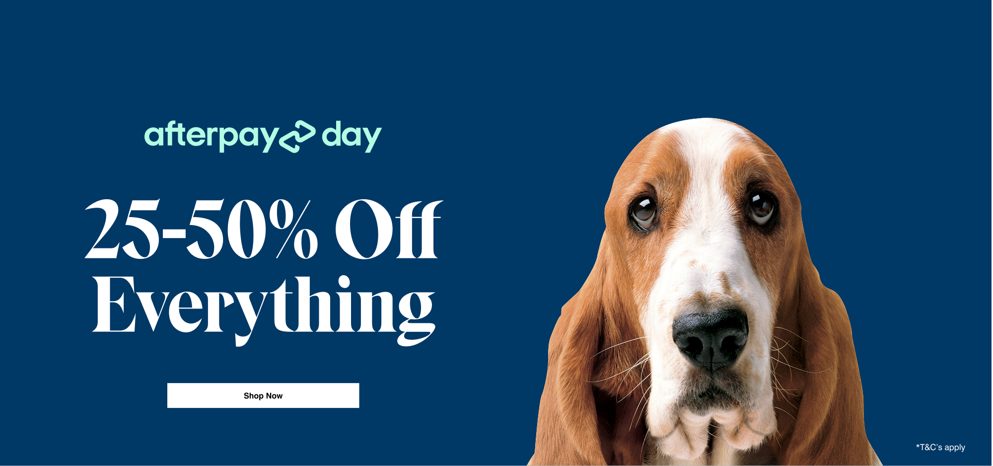 Hush Puppies AU Image