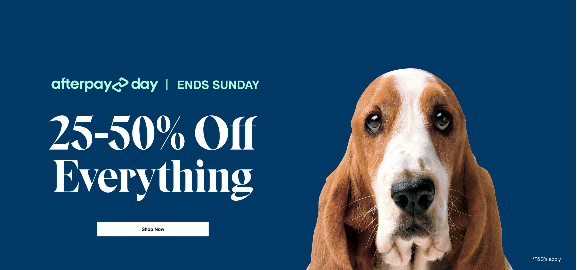 Hush Puppies AU Image