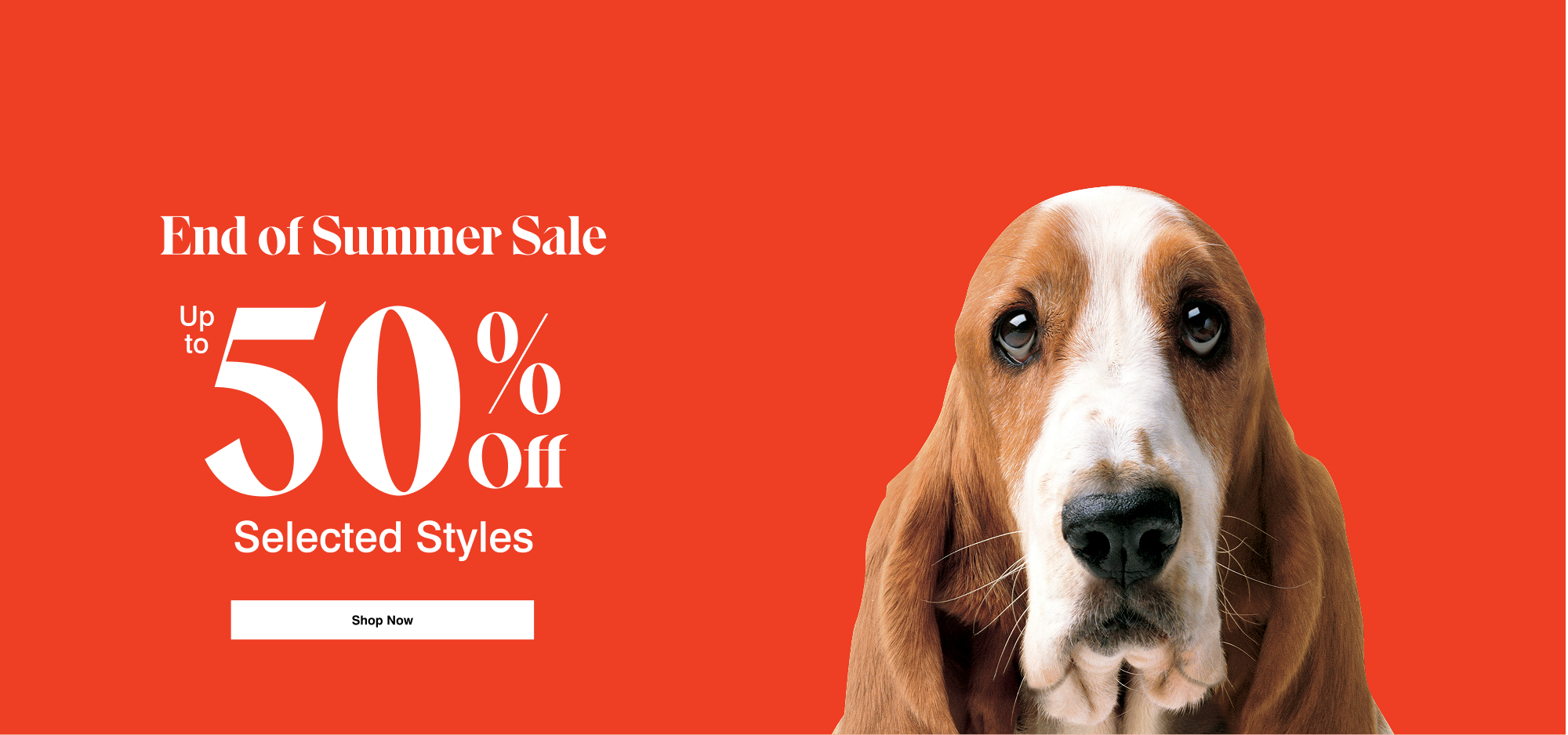 Hush Puppies AU Image