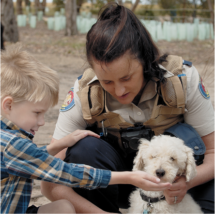 Hush Puppies AU Image