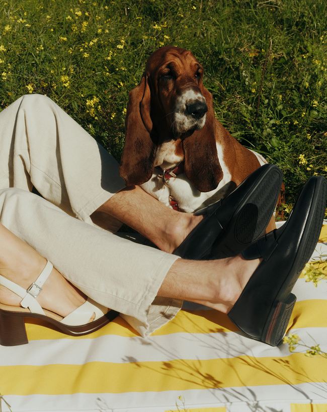 Hush Puppies AU Image