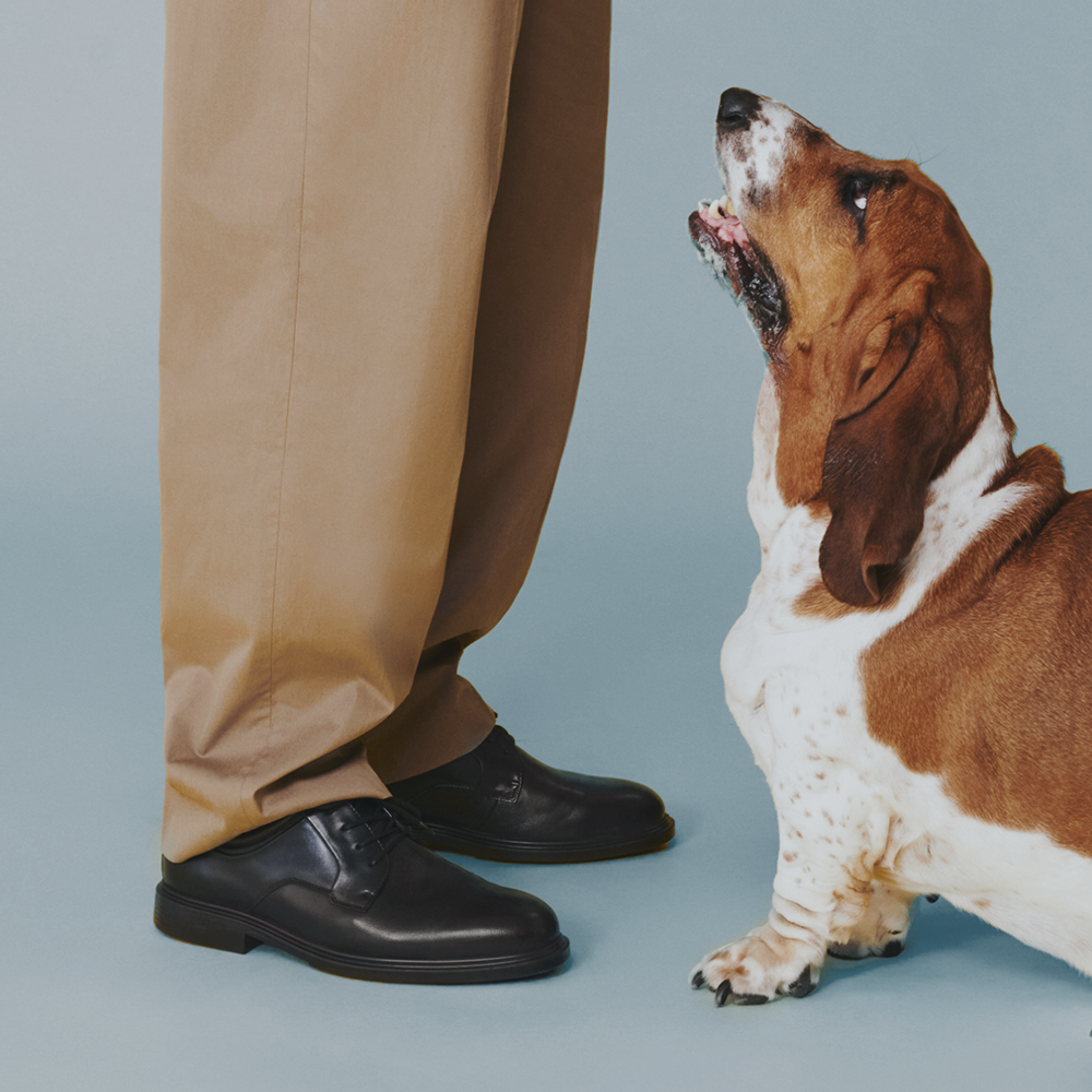 Hush Puppies AU Image