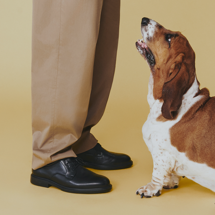 Hush Puppies AU Image