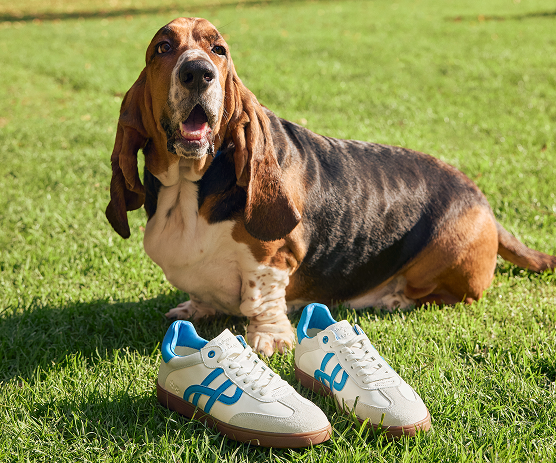 Hush Puppies AU Image