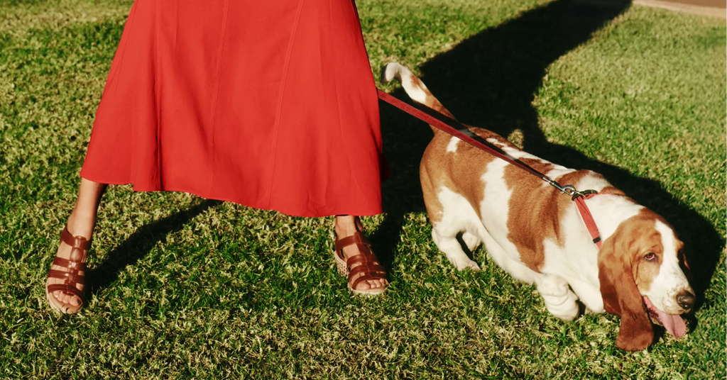 Preview image published by hushpuppies.com.au