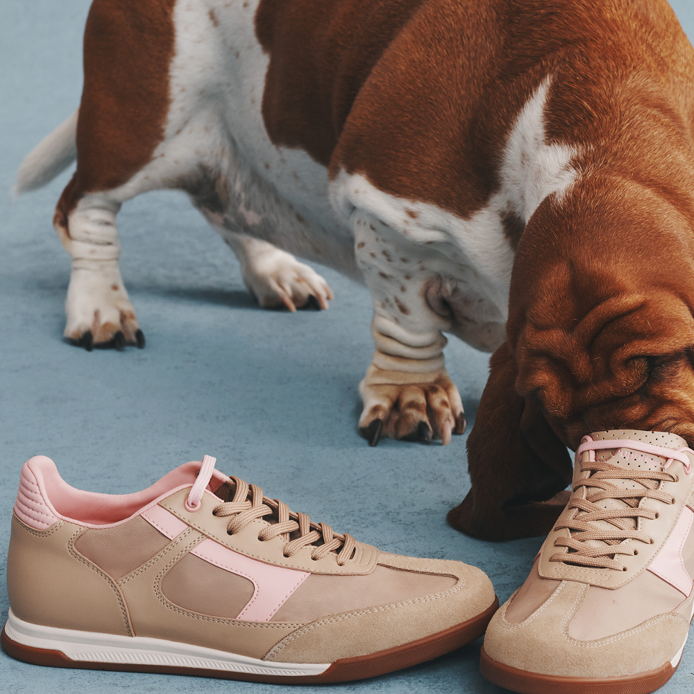 Hush Puppies AU Image