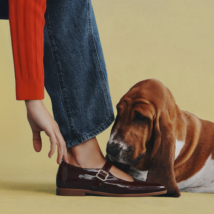 Hush Puppies AU Image