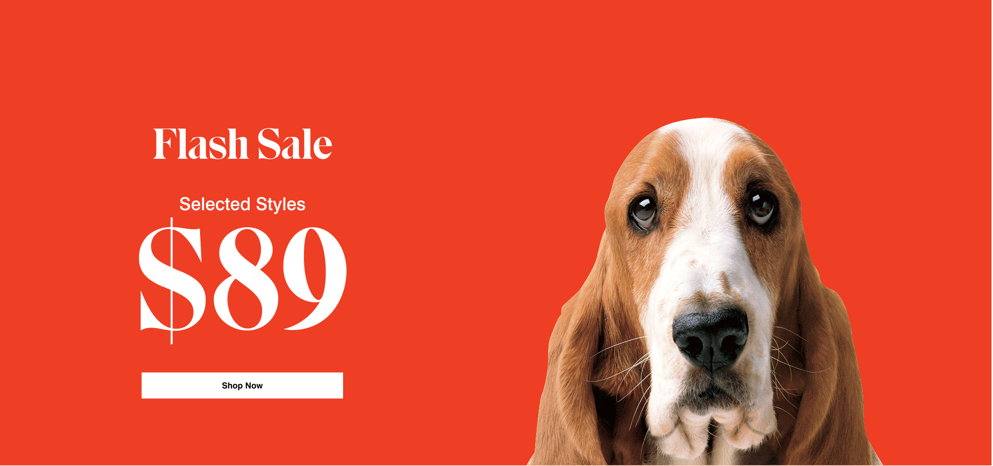 Hush Puppies AU Image