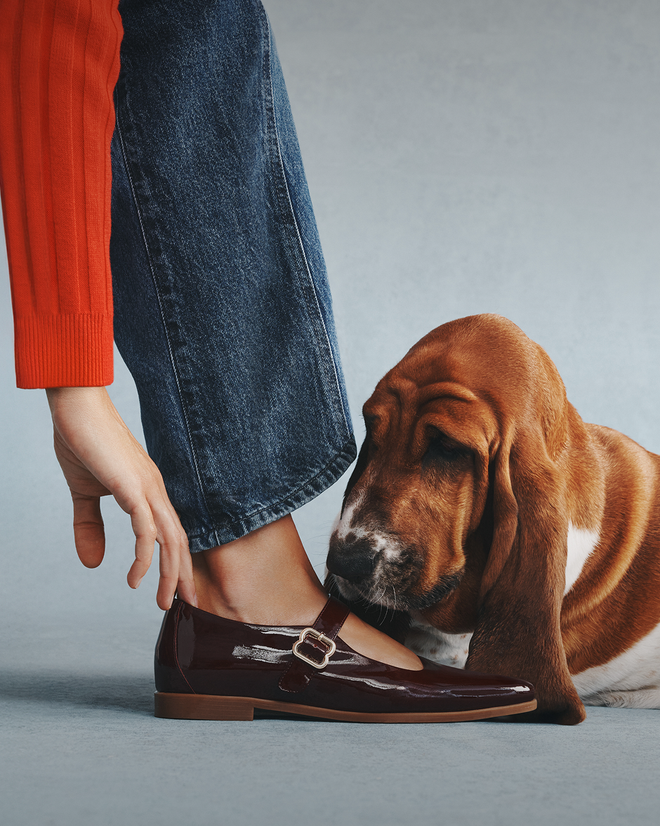 Hush Puppies AU Image