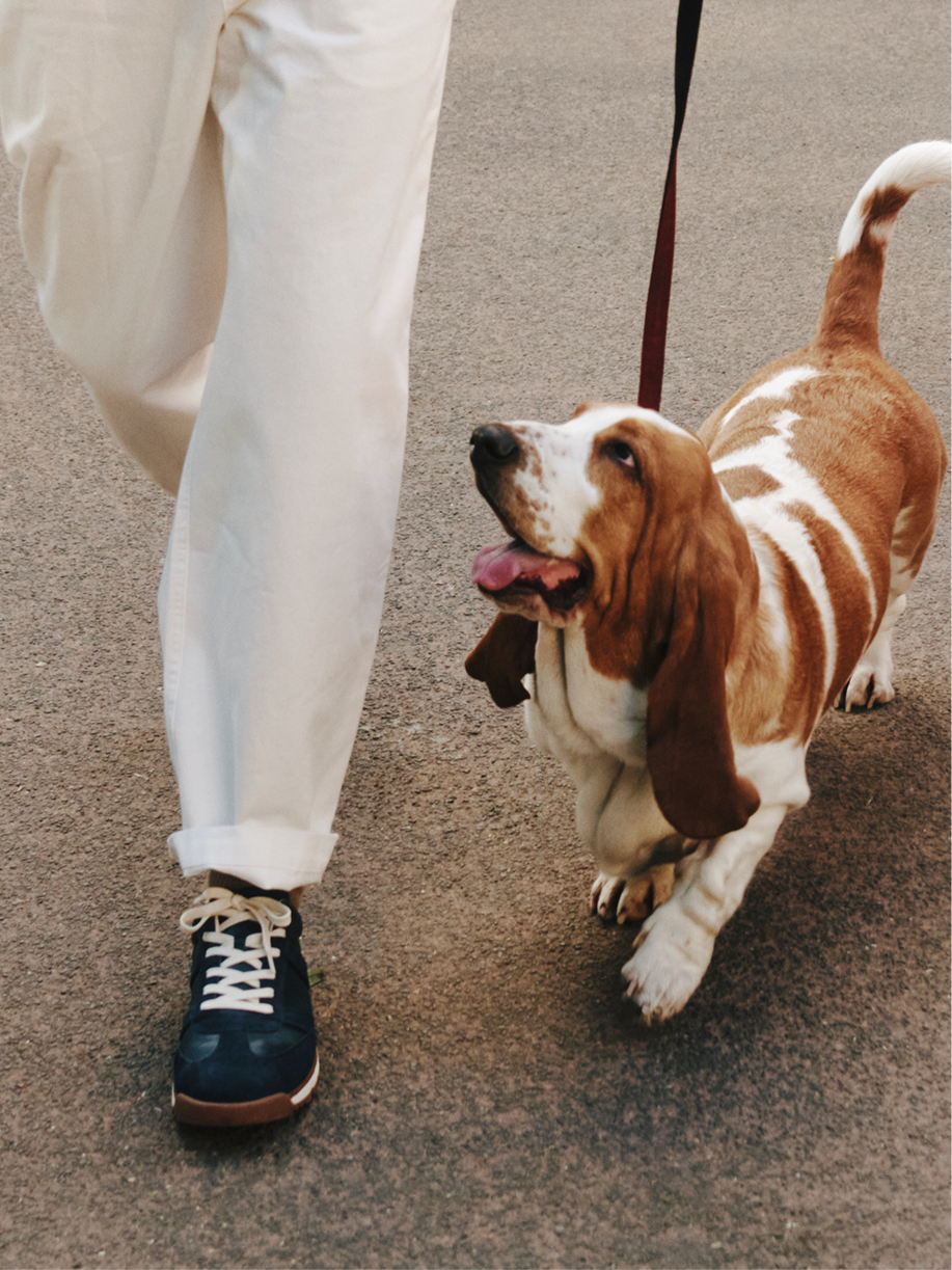 Hush Puppies AU Image