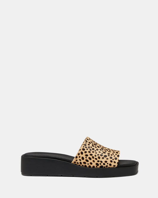 Empire Tan Spotted Leopard